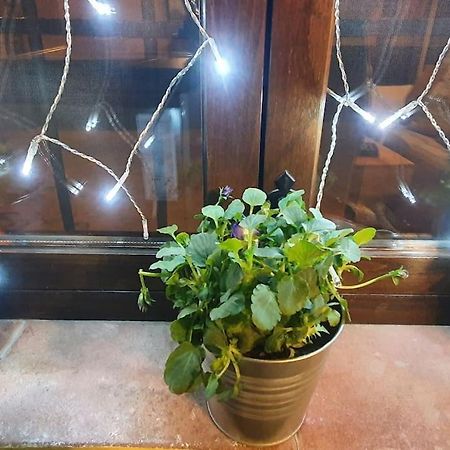 Apartamento Sefardi, Barrio Judio De Hervas Ngoại thất bức ảnh