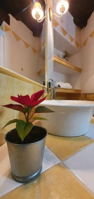 Apartamento Sefardi, Barrio Judio De Hervas Ngoại thất bức ảnh