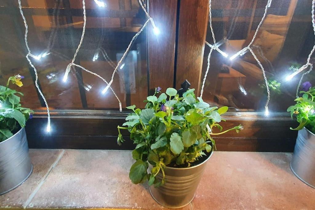 Apartamento Sefardi, Barrio Judio De Hervas Ngoại thất bức ảnh